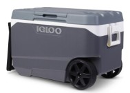 冰屋（Igloo）召回了100多万台冷却器，原因是操作危险导致指尖截肢